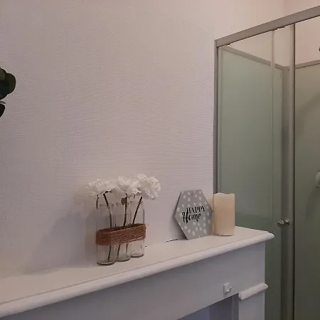 Studio Cosy Proche Chr Lille Appartement *